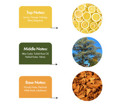 AQUA MIST- inspired by Cool WATER