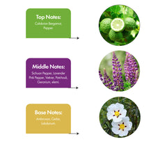 DIVOR EDP- Inspired by SAUVAGE