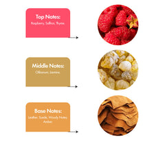 FIRANGI- inspired by TUSCON LEATHER