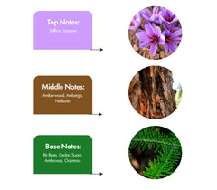 HYPE- inspired by BACCARAT ROUGE 540